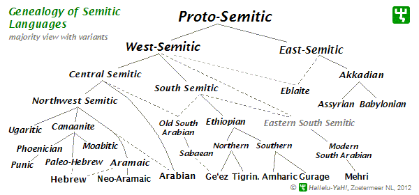 http://www.hallelu-yah.nl/semitic-languages-tree.gif